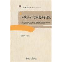 刑事法律论丛—未成年人司法制度改革研究