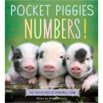 Pocket Piggies Numbers!  Featuring the Teacup Pi