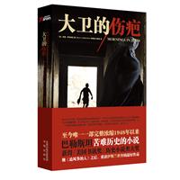 大卫的伤疤 (至今唯一一部完整浓缩1948年来巴勒斯坦苦难历史的小说)