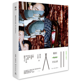 我们从未不认识：林宥嘉音乐小说概念书 