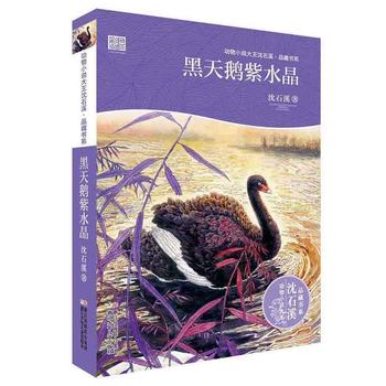 动物小说大王沈石溪•品藏书系：黑天鹅紫水晶