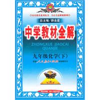 九年级化学•下（配人民教育出版实验教科书）（2010.9印刷）中学教材全解