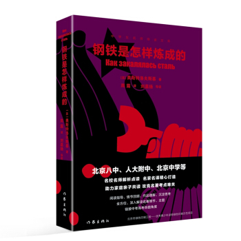 人大附中、北京八中等名校名师导读世界名著：钢铁是怎样炼成的（中学生名师导读文库）