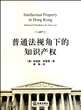 普通法视角下的知识产权