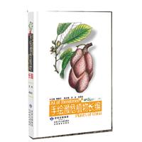 手绘濒危植物长编