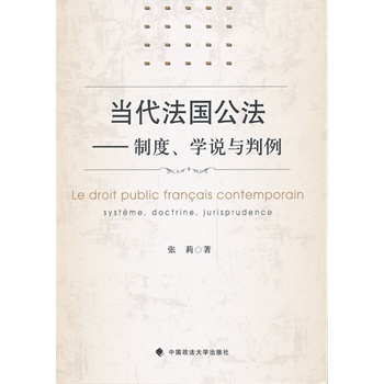 当代法国公法——制度、学说与判例 