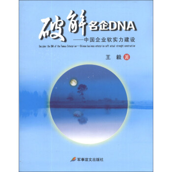破解名企DNA--中国企业软实力建设