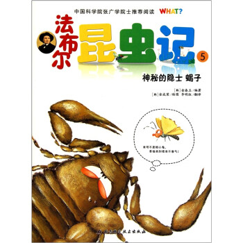 神秘的隐士蝎子/法布尔昆虫记5(新版精彩升级)