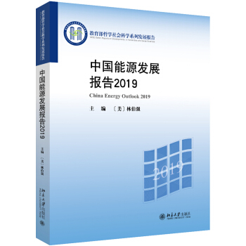中国能源发展报告2019