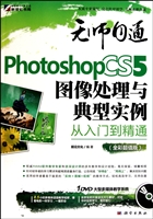 Photoshop CS5图像处理与典型实例从入门到精通(附光盘全彩超值版)