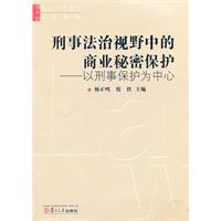 刑事法治视野中的商业秘密保护:以刑事保护为