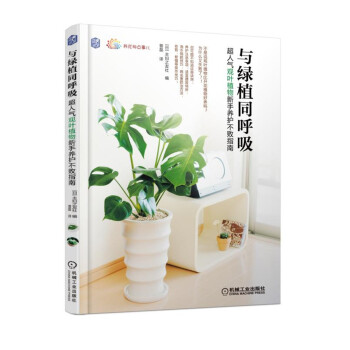 与绿植同呼吸：超人气观叶植物新手养护不败指南