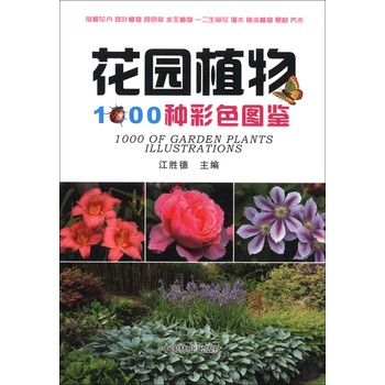 91e5c62d-0bbb-4b6c-8db5-006875a973ca.jpg
