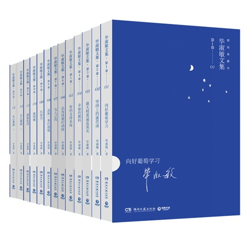 毕淑敏文集（全12卷）：精装典藏系列