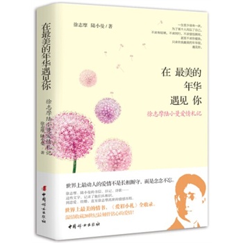 在最美的年华遇见你：徐志摩陆小曼爱情札记