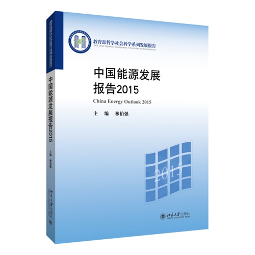 中国能源发展报告2015