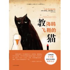 教海鸥飞翔的猫