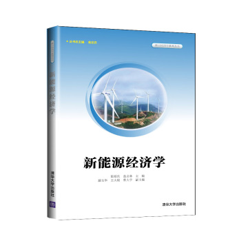 新能源经济学（新兴经济学系列丛书）