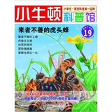 小牛顿科普馆：来者不善的虎头蜂19 