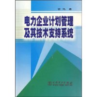 电力企业计划管理及其技术支持系统