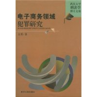 电子商务领域犯罪研究