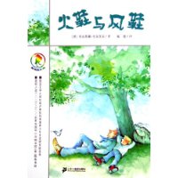 火鞋与风鞋——彩乌鸦系列