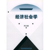 经济社会学/21世纪社会学系列教材