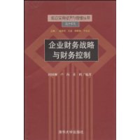 企业财务战略与财务控制——前沿实用经济与管理丛书•会计系列