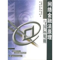 网络金融法原理与国际规则——金融电子化法律问题研究丛书