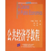 公共经济学教程——新世纪高校经济学教材译丛