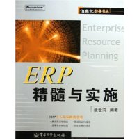 ERP精髓与实施——信息化经典书丛