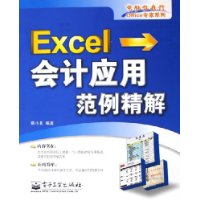 Excel会计应用范例精解