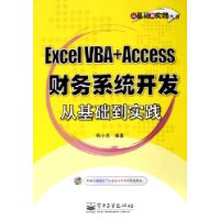 Excel VBA+Access 财务系统开发从基础到实践（附CD-ROM光盘一张）——从基础到实践丛书