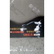 朗读者