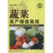 蔬菜高产增值栽培/社会主义新农村建设文库