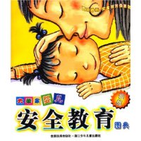 大苹果婴儿安全教育图典(银版)