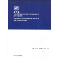 联合国打击跨国有组织犯罪公约和反腐败公约程序问题研究