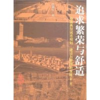 追求繁荣与舒适——中国典型城市规划、建设与管理的策略（第二版）