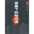 夜幕下的哈尔滨