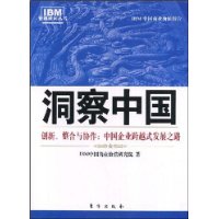 洞察中国：中国企业跨越式成长之路（IBM商业价值研究院的商业智慧）