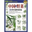 中国的野菜——319种中国野菜图鉴