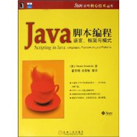 Java脚本编程：语言框架与模式