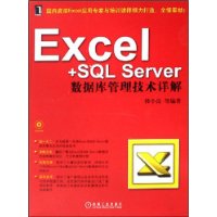 Excel＋SQL Server数据库管理技术详解（附光盘）