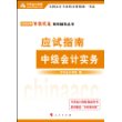 2009年中级会计专业技术资格考试应试指南--中级会计实务（梦想成真系列丛书）