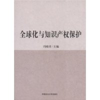 全球化与知识产权保护（211工程项目丛书）（民商）