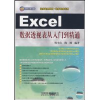 Excel 数据透视表从入门到精通（附赠光盘）