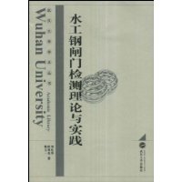 水工钢闸门检测理论与实践