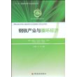 钢铁产业与循环经济—第二产业与循环经济丛书（“十一五”国家重点图书出版规划项目）