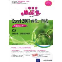 Excel 2007函数、图表与数据分析(配光盘)(第2版)