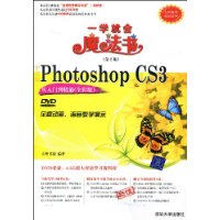 中文版Photoshop CS3从入门到精通(全彩版)(配光盘)(第2版)